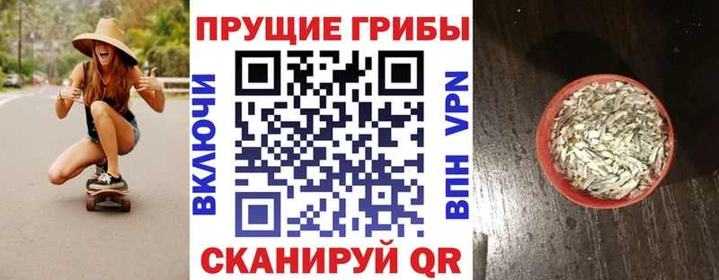 Купить где  Вихоревка  Галлюциногенные грибы MAGIC MUSHROOMS 